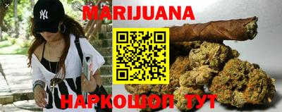 сатива Кунгур
