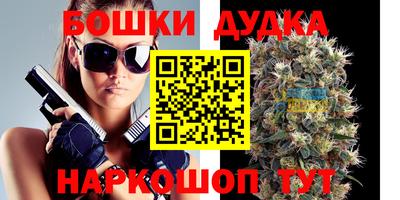 сатива Кунгур