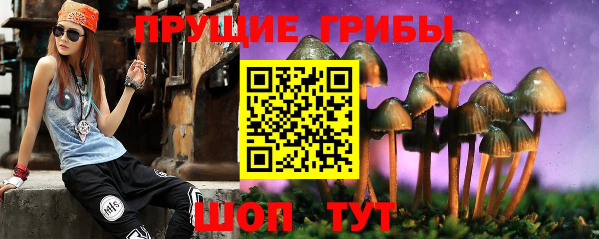Мегион  Псилоцибиновые грибы Cubensis  Вход с VPN  Галлюциногенные грибы GOLDEN TEACHER 